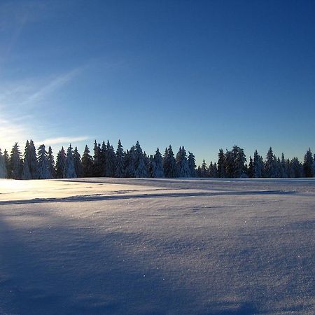 Apartments Rogla Зрече Экстерьер фото