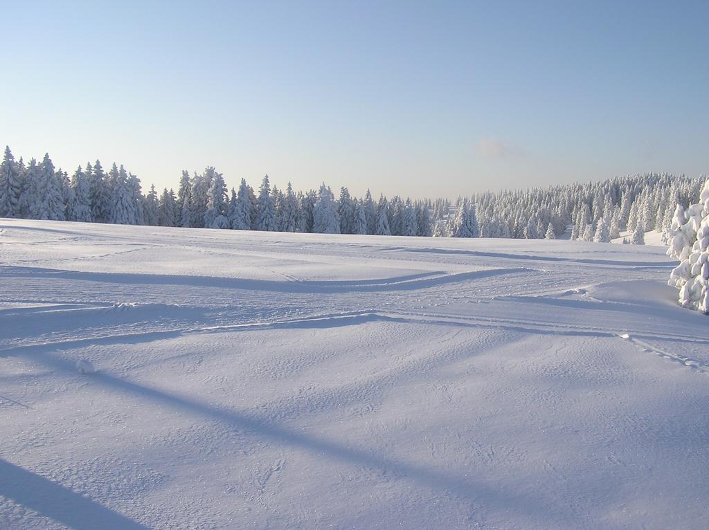 Apartments Rogla Зрече Экстерьер фото