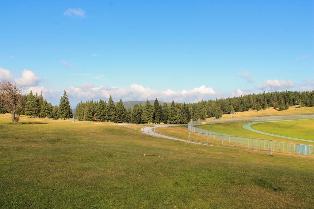 Apartments Rogla Зрече Экстерьер фото