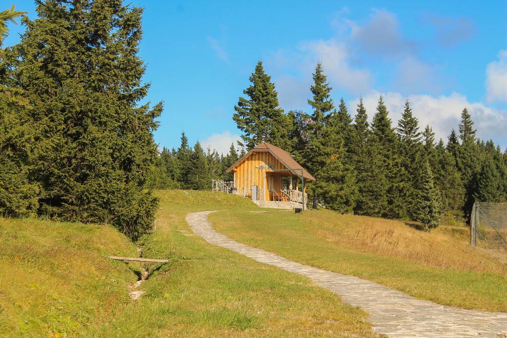 Apartments Rogla Зрече Экстерьер фото
