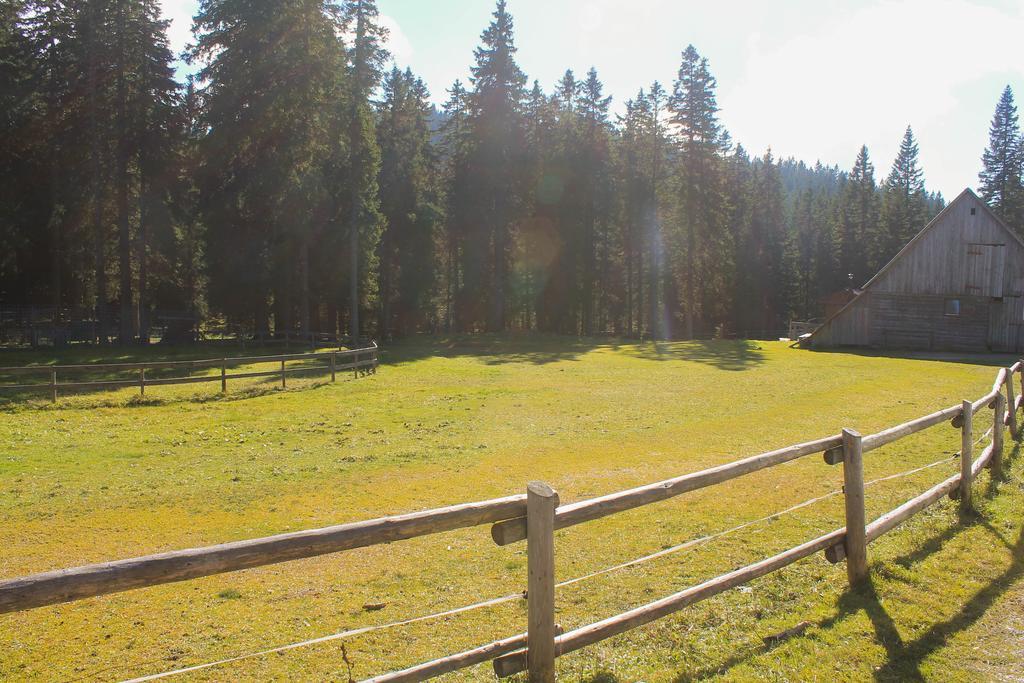 Apartments Rogla Зрече Экстерьер фото