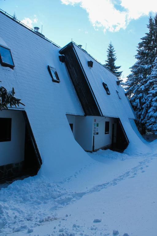 Apartments Rogla Зрече Экстерьер фото